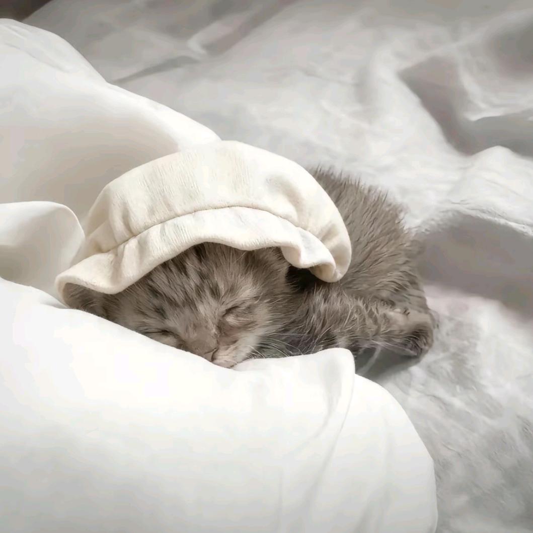 缘尽.