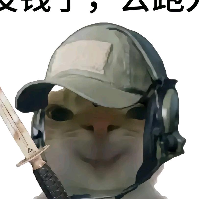 能带我吗求求了(三角洲行动)