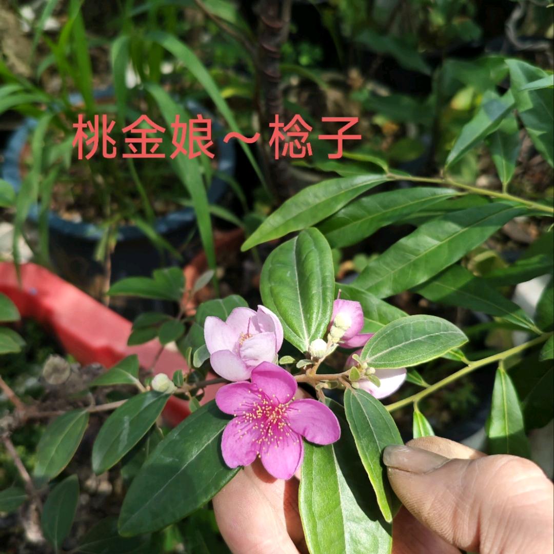 孤🦅鹰