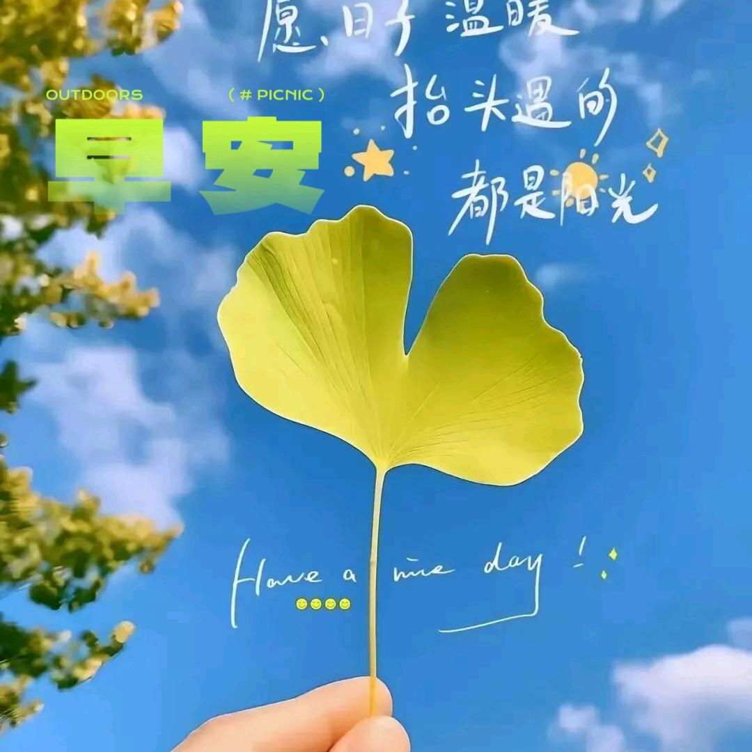 七里 _田间