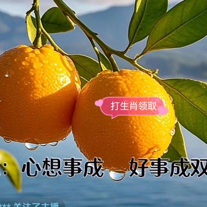 花朝祈月