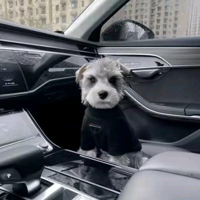 ￴￴ ￴￴  ￴ ￴ ￴ ￴