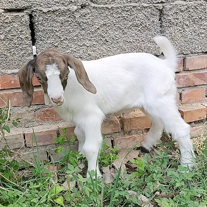 张女士（拒私聊）