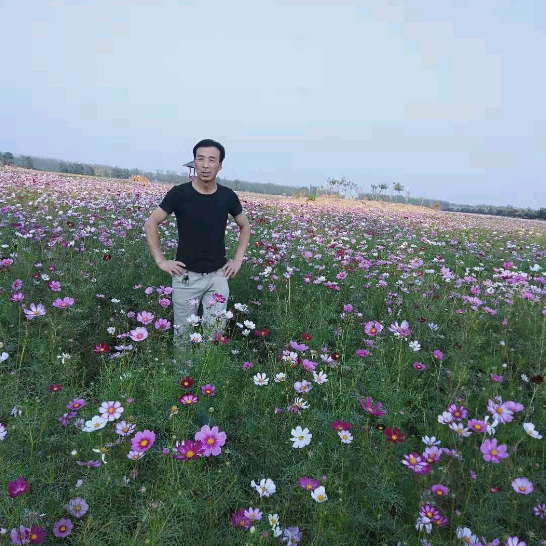 花🌸好月圆