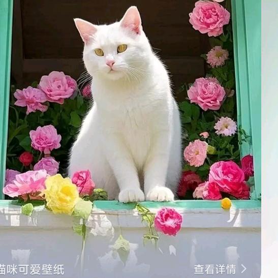 如果你爱我你就不要伤害我