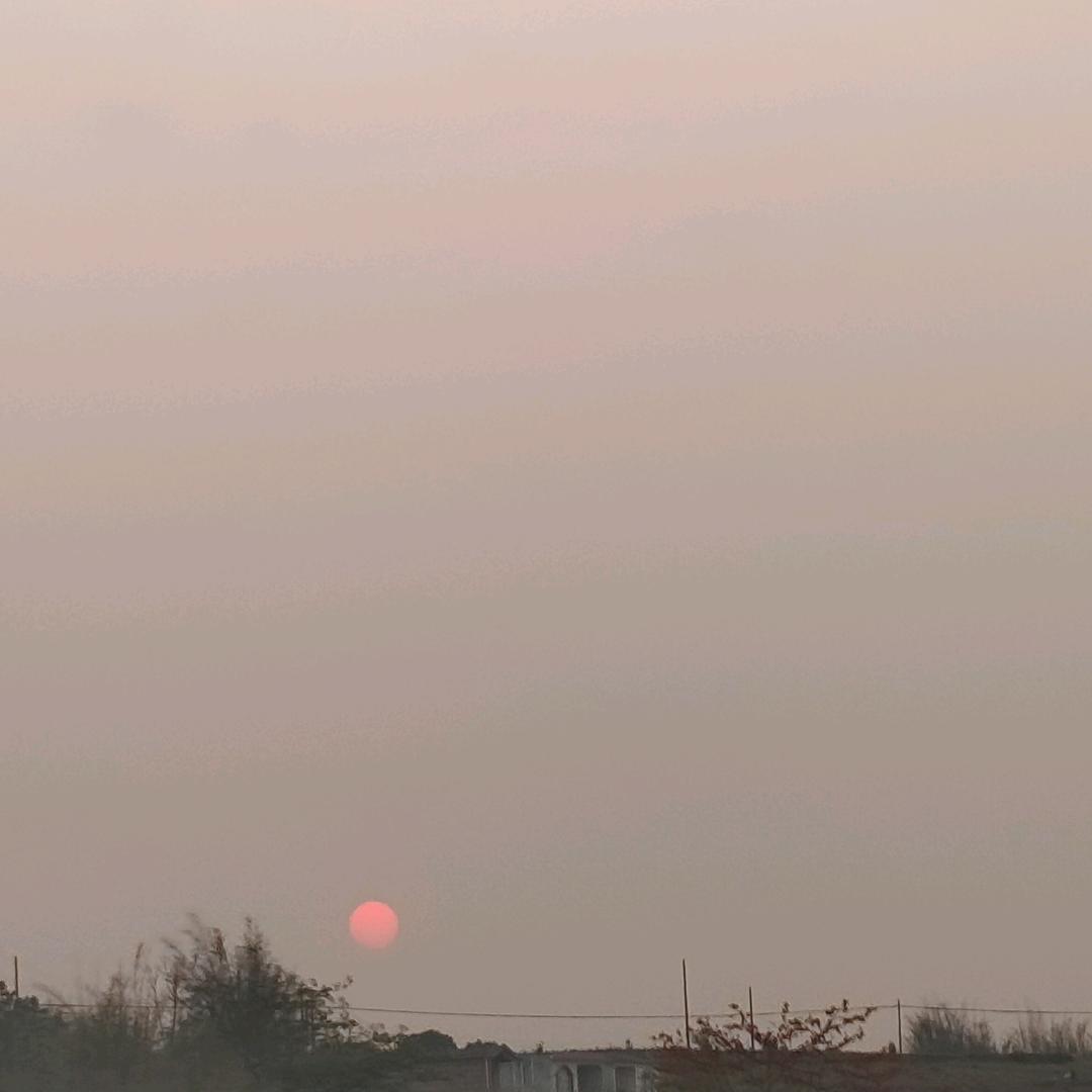 梦里是谁