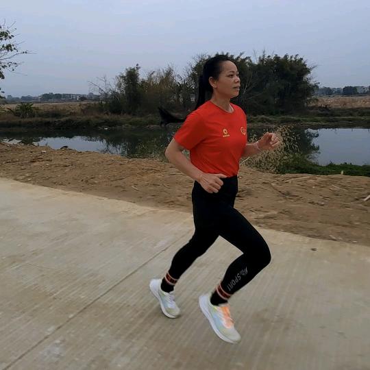 美丽连连