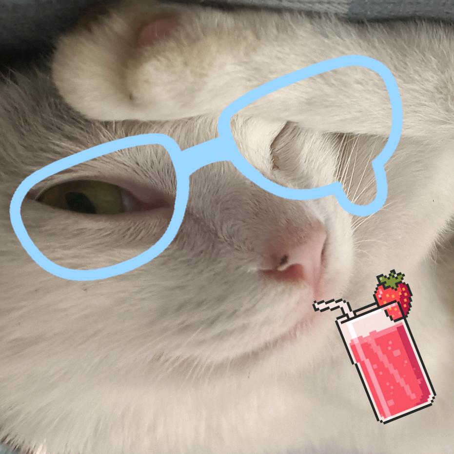小猫饱读诗书