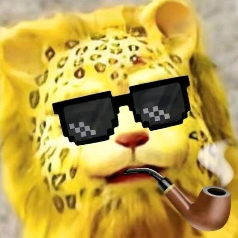 寒倾羽