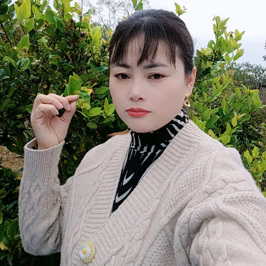 紫陌红尘