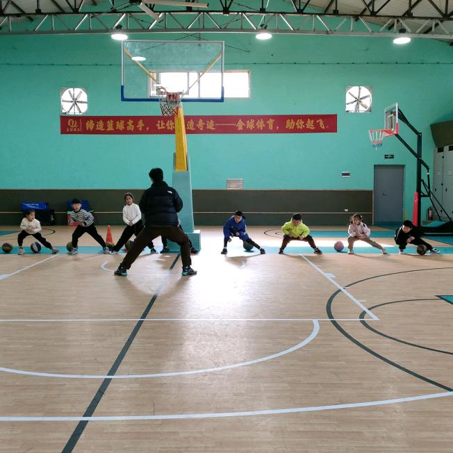 苍南县金球体育文化有限公司