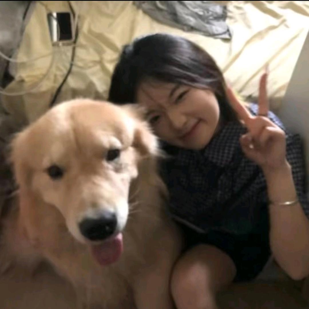 食物里的高蛋白