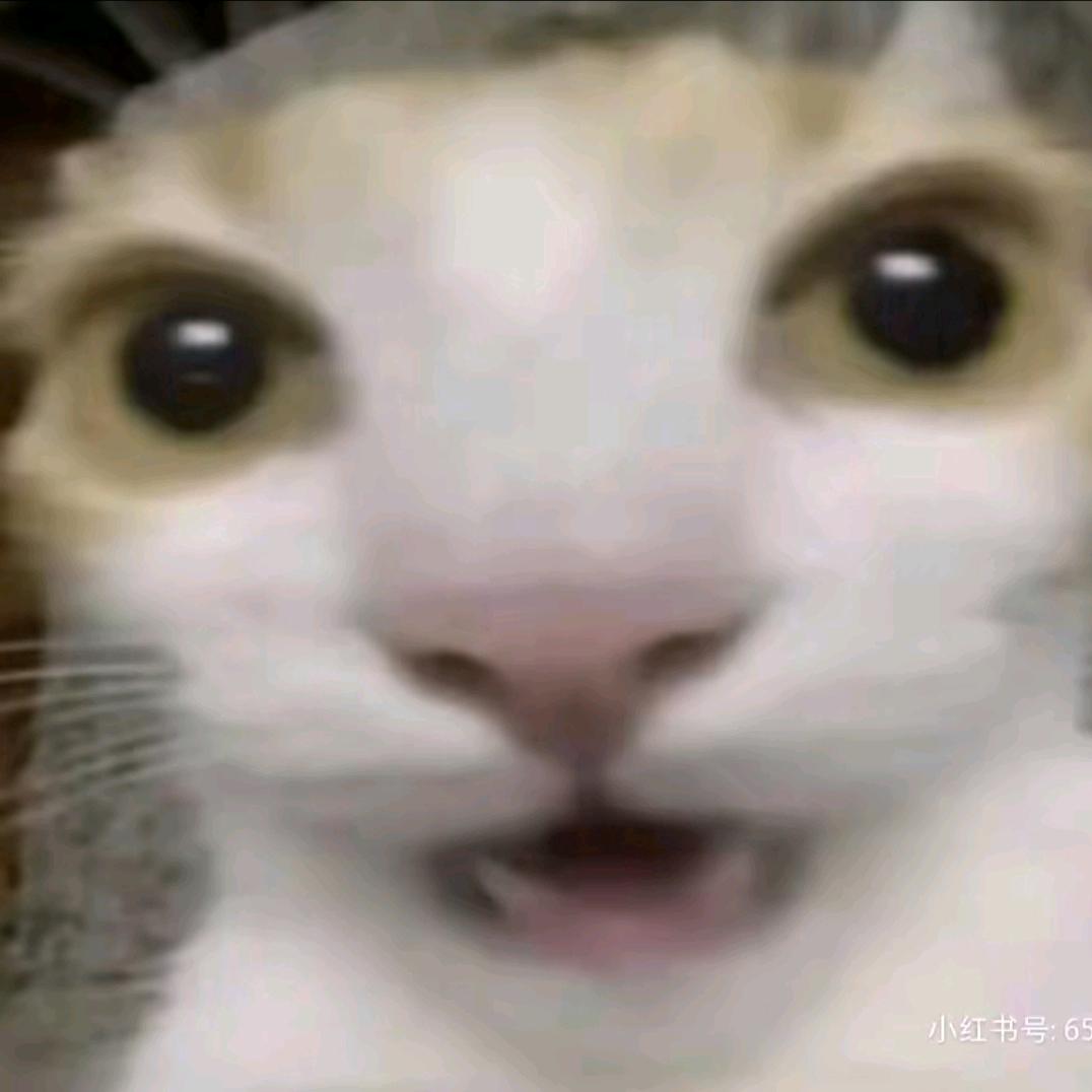 小让