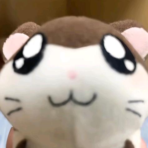 装鱿鱼被烤