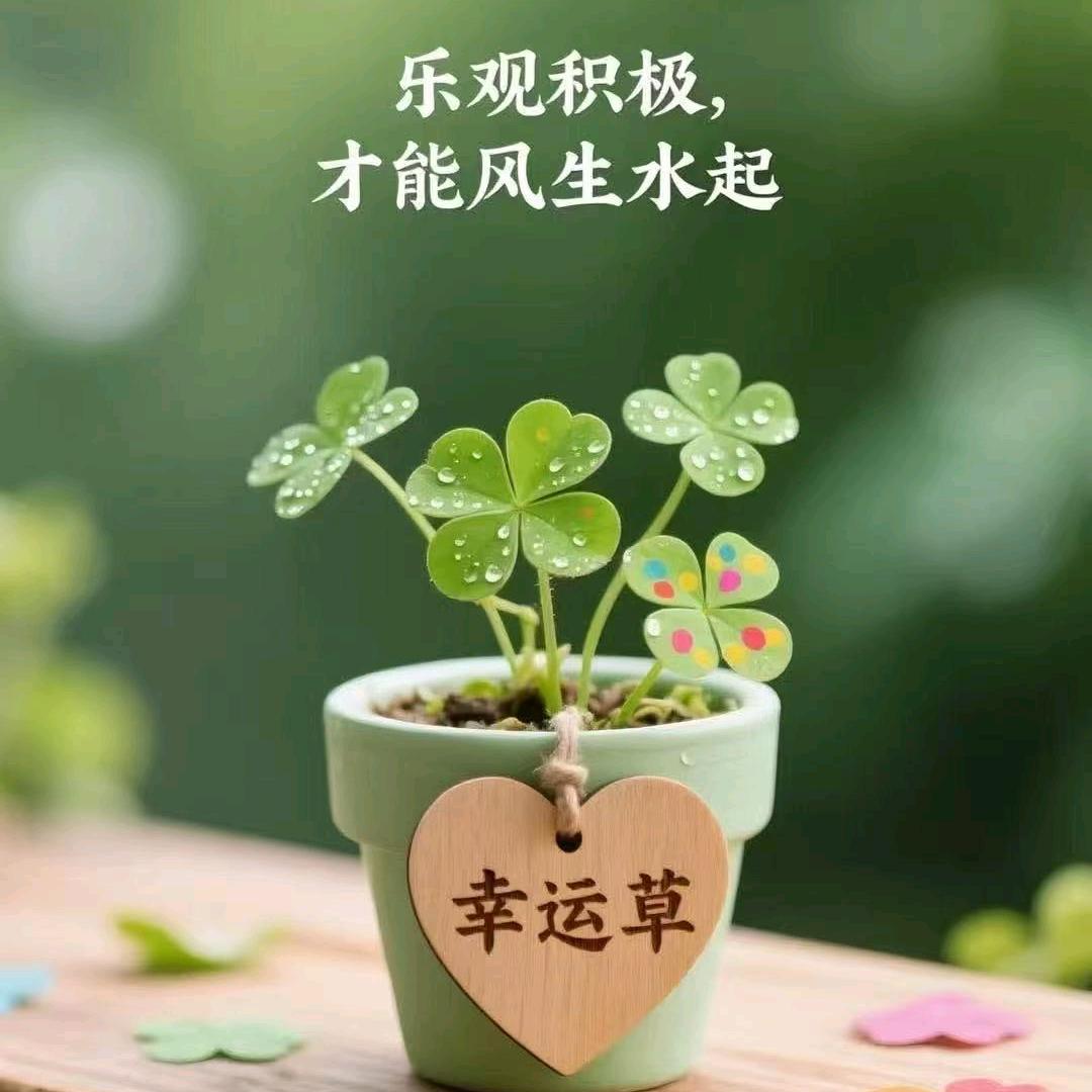 义文