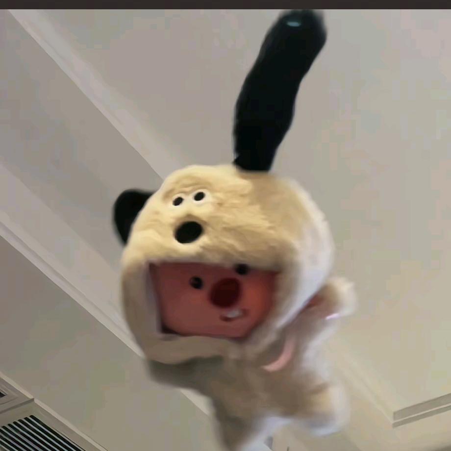 歪头小猫不说鱼块