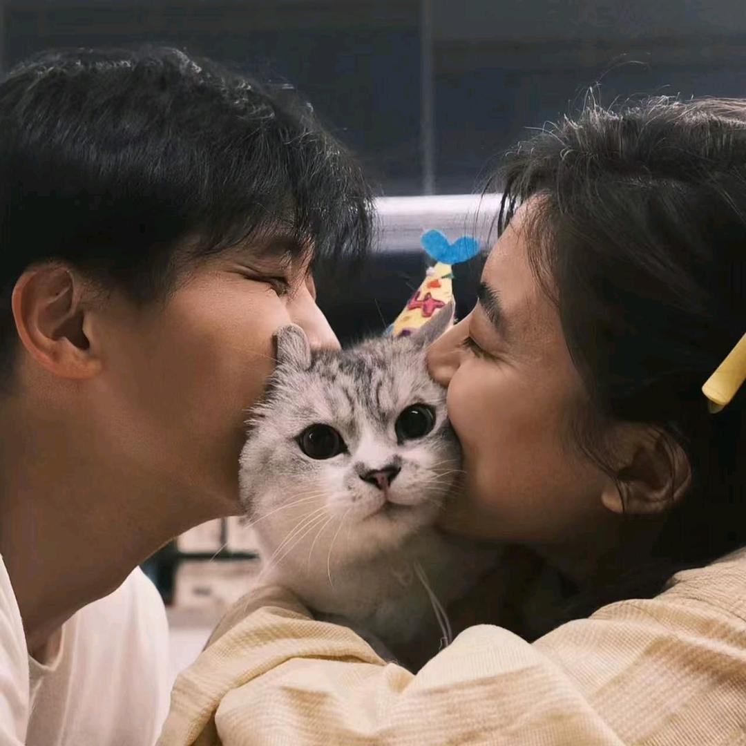 梵皇·唐卡（收代理）