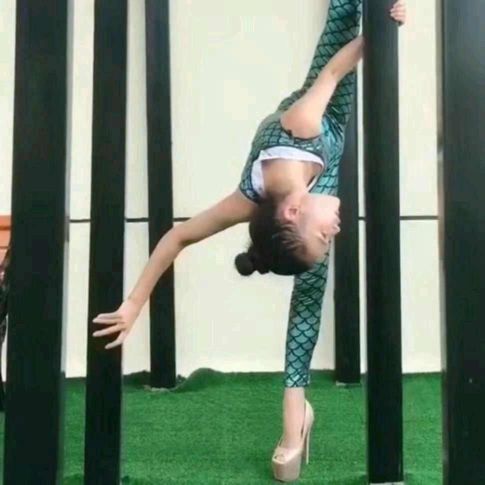 申艺
