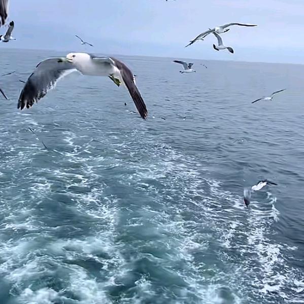 ‘’ꪶꪮꪰꪤꫀ¹³₁₄.”