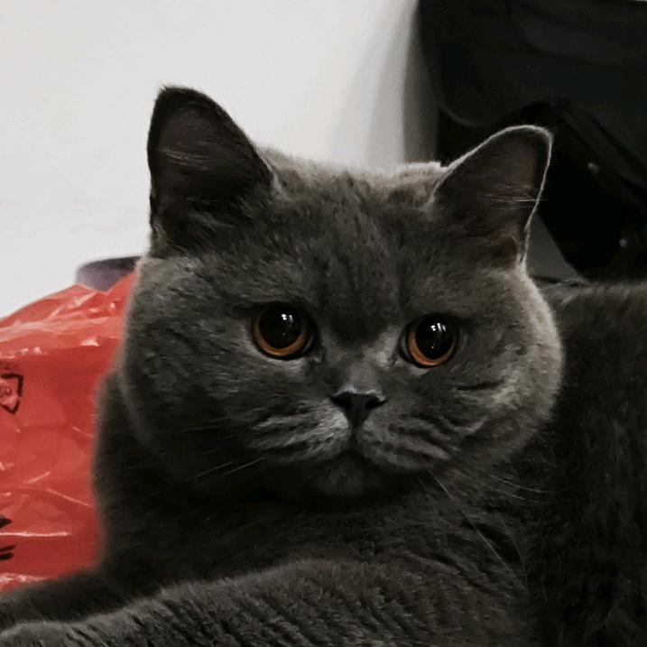 23播音直播实训