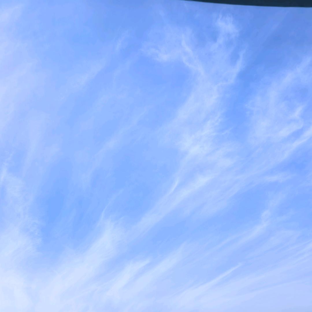 ￴留夏