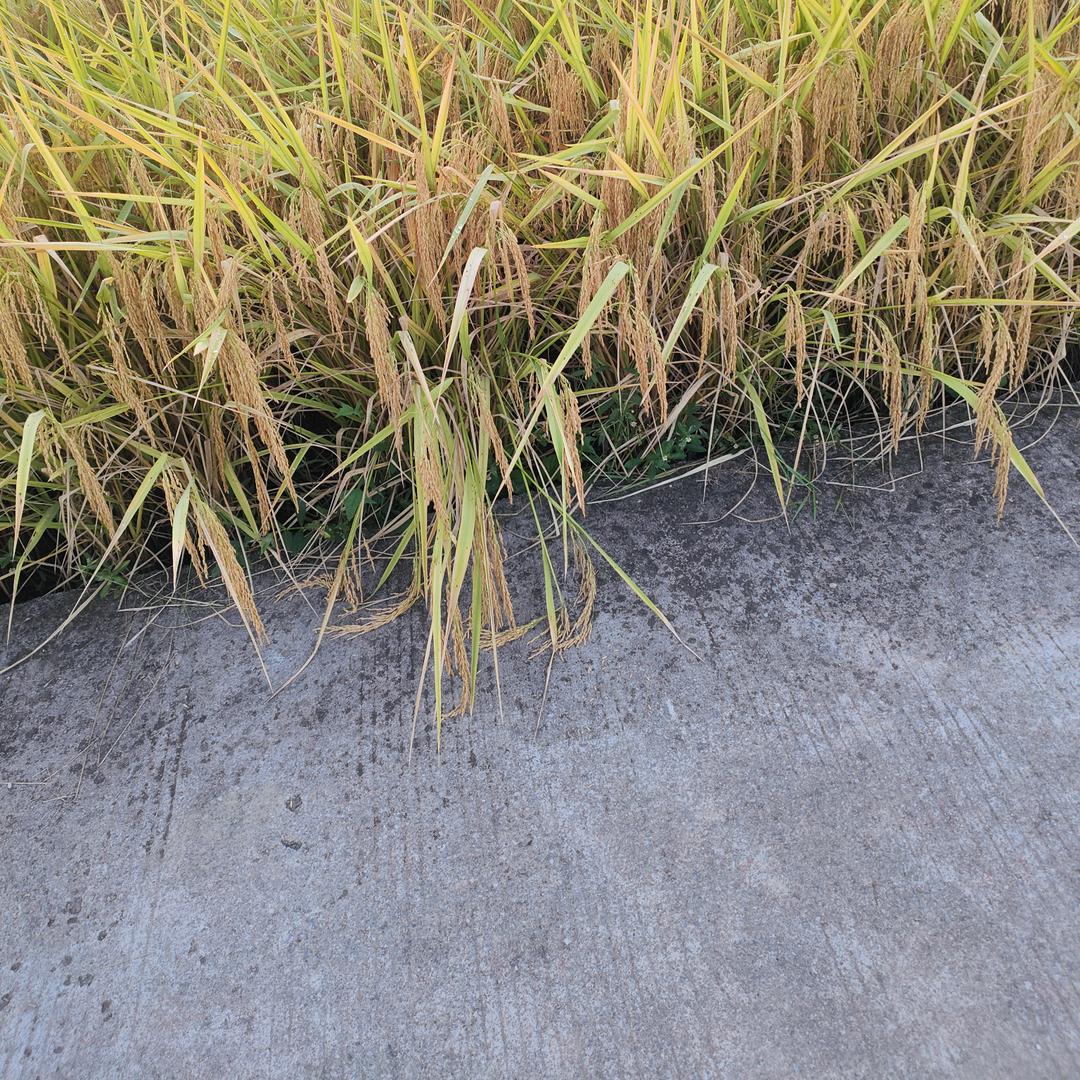 尝尽人间绚烂，难补一生心酸