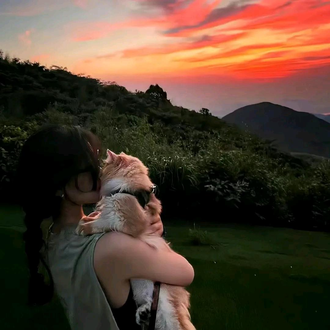 噜噜吖
