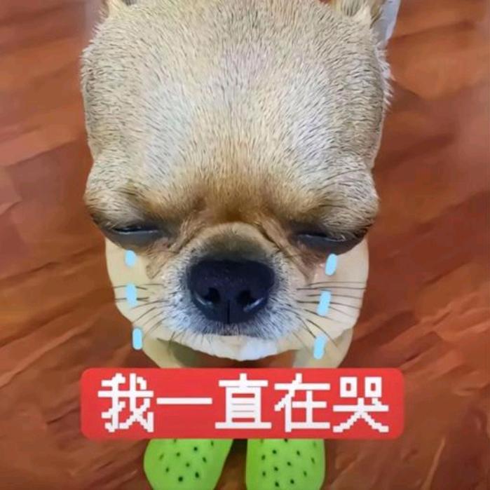 榆梧深椿I补私
