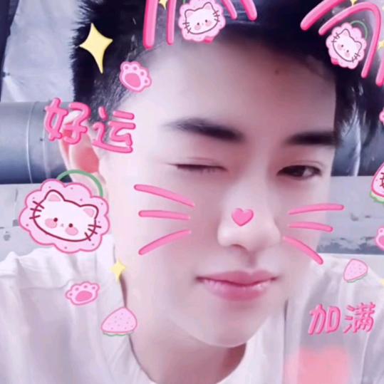 辉辉顾顾向前行。