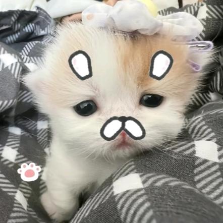 狠心