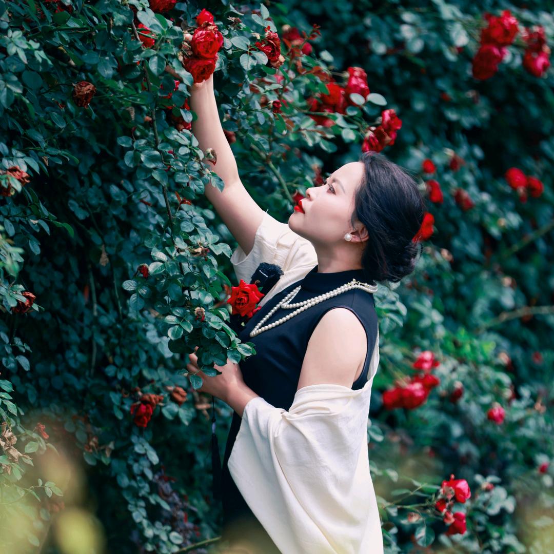 爱做美梦的傻瓜