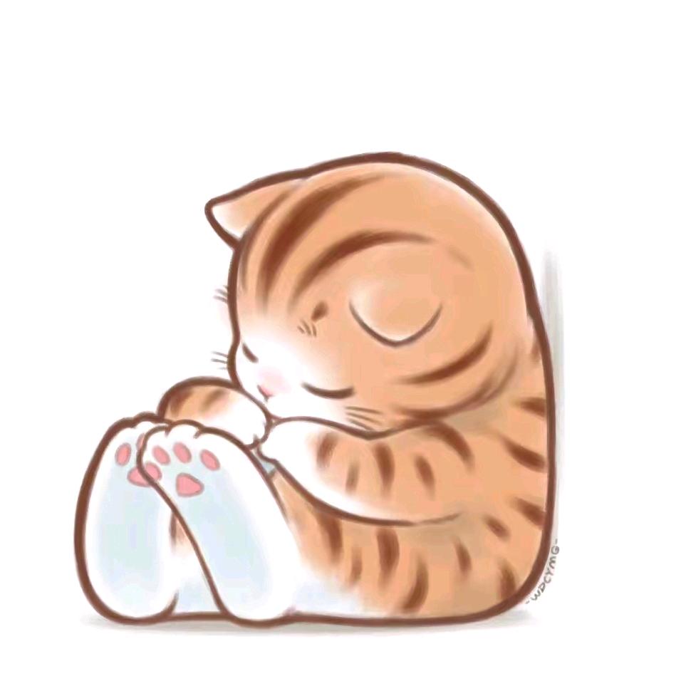 枳野