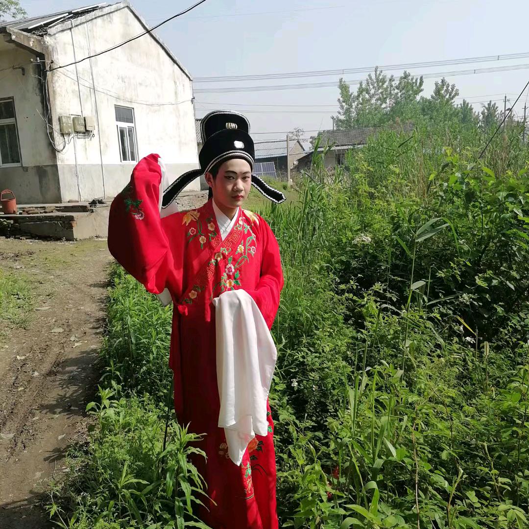 庐剧赵云