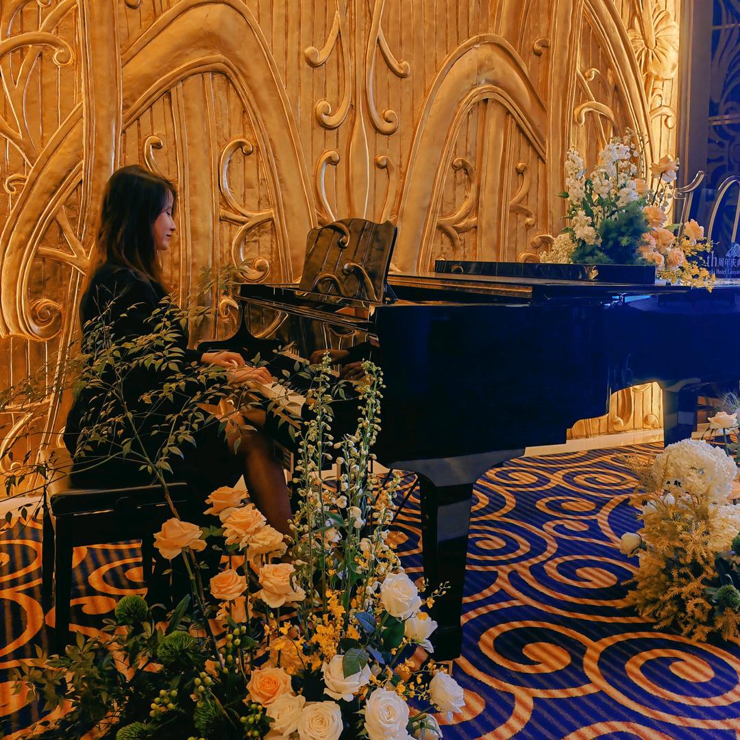 坐以待币的琴女🎹