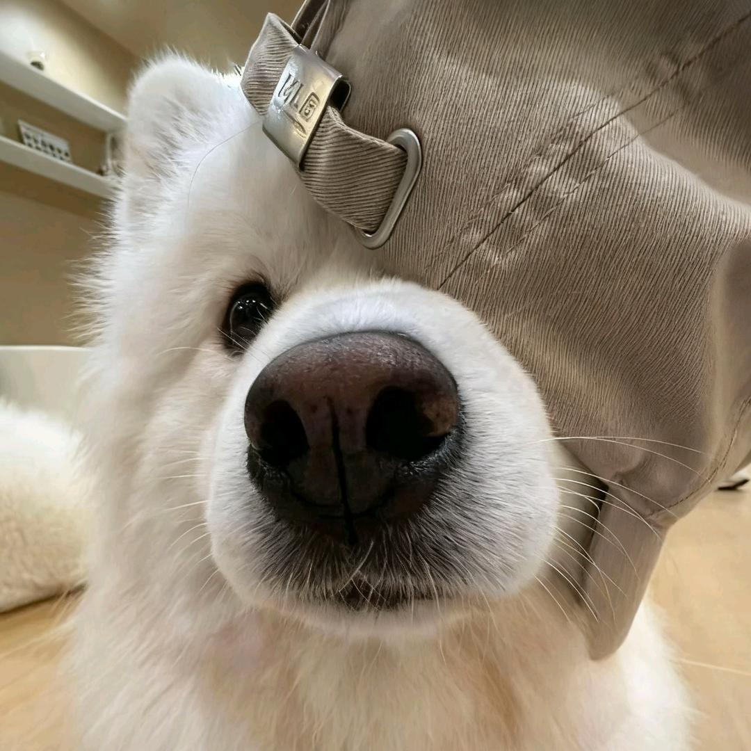 语文科代表