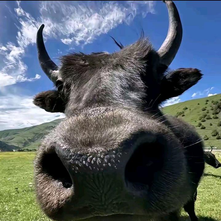 思想不正常的我