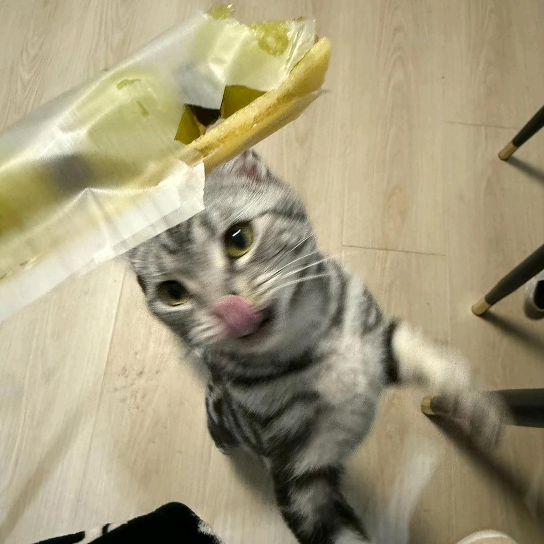 炝锅鱼