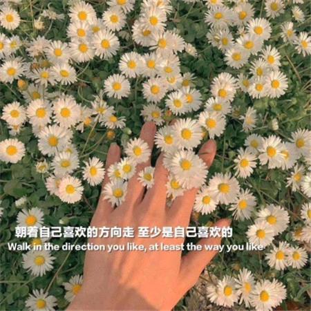余生不将就头像
