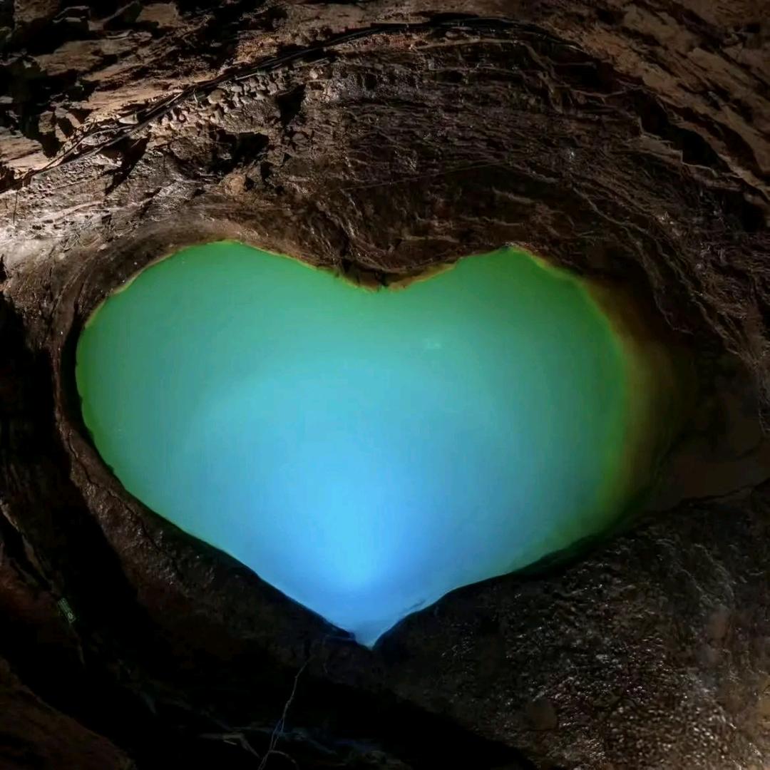 『『ᥫᩣ 92™』』星河之约