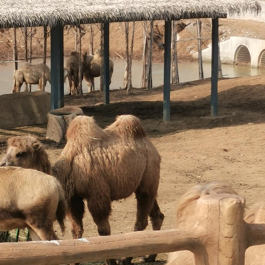 韵❤️啸