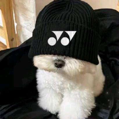 “Z