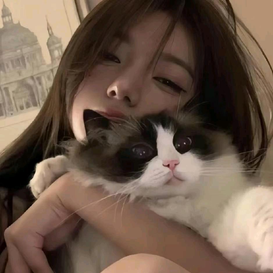 不敖夜💫