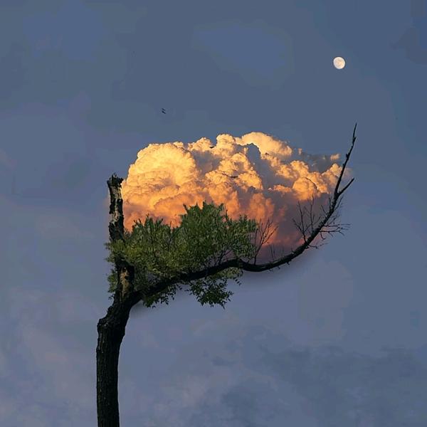 @阿东(好运的男人)