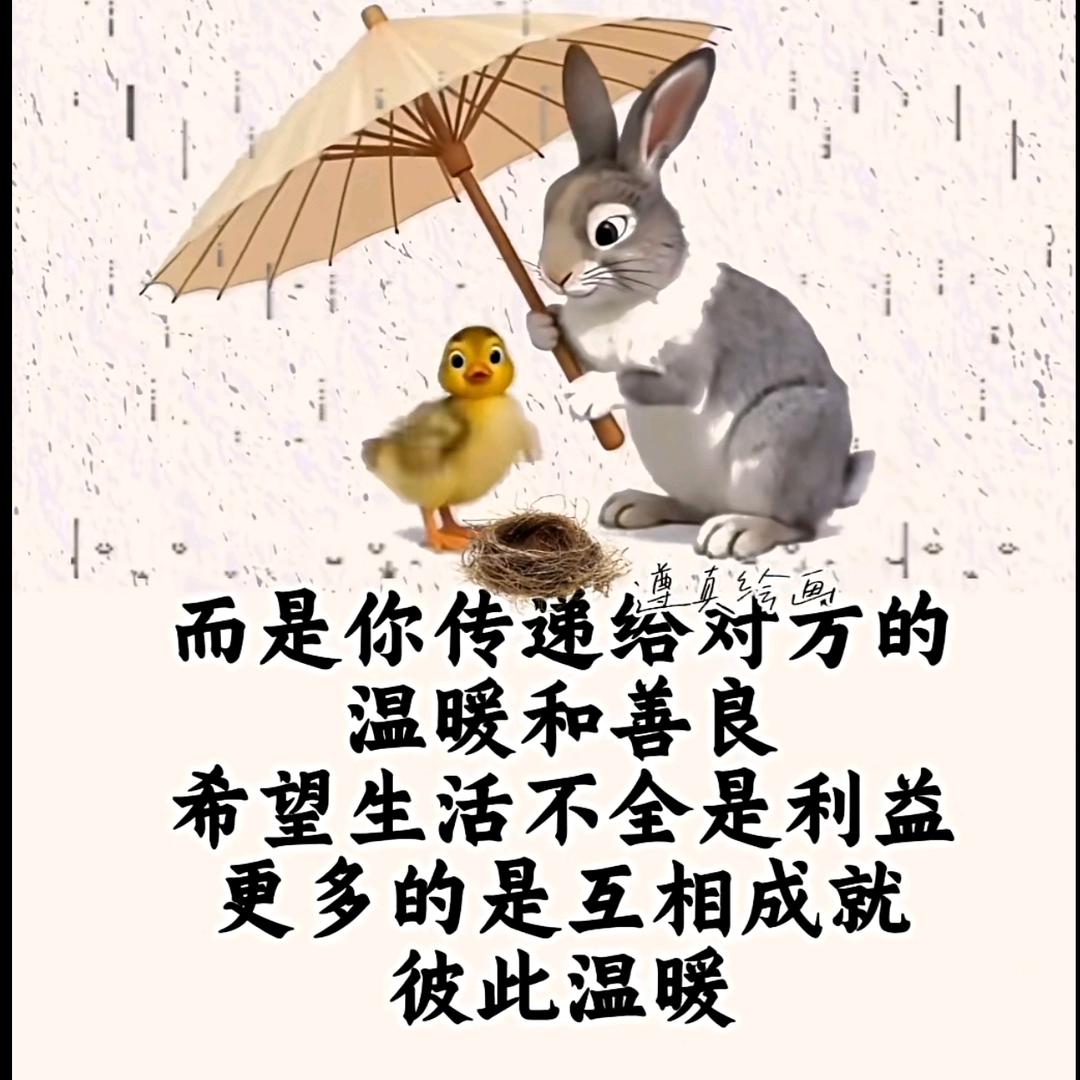 娟姐