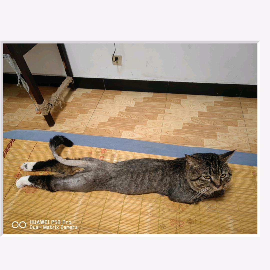 樂·