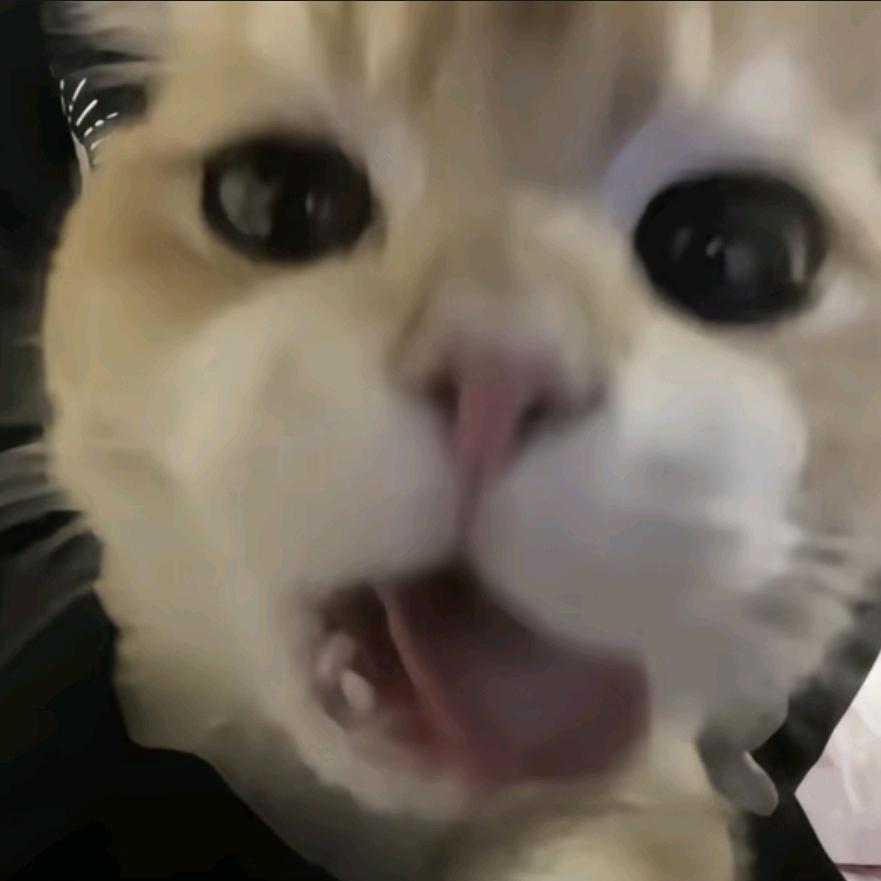 慕 ꈍ𖥦ꈍ