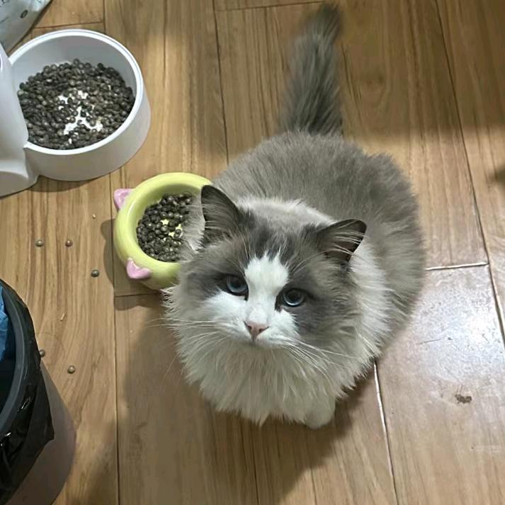 小小虫