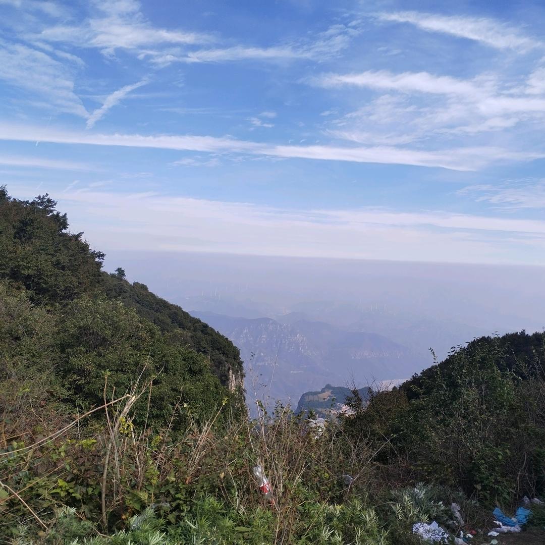 @木子独懂🌼🌼好物优选剧场