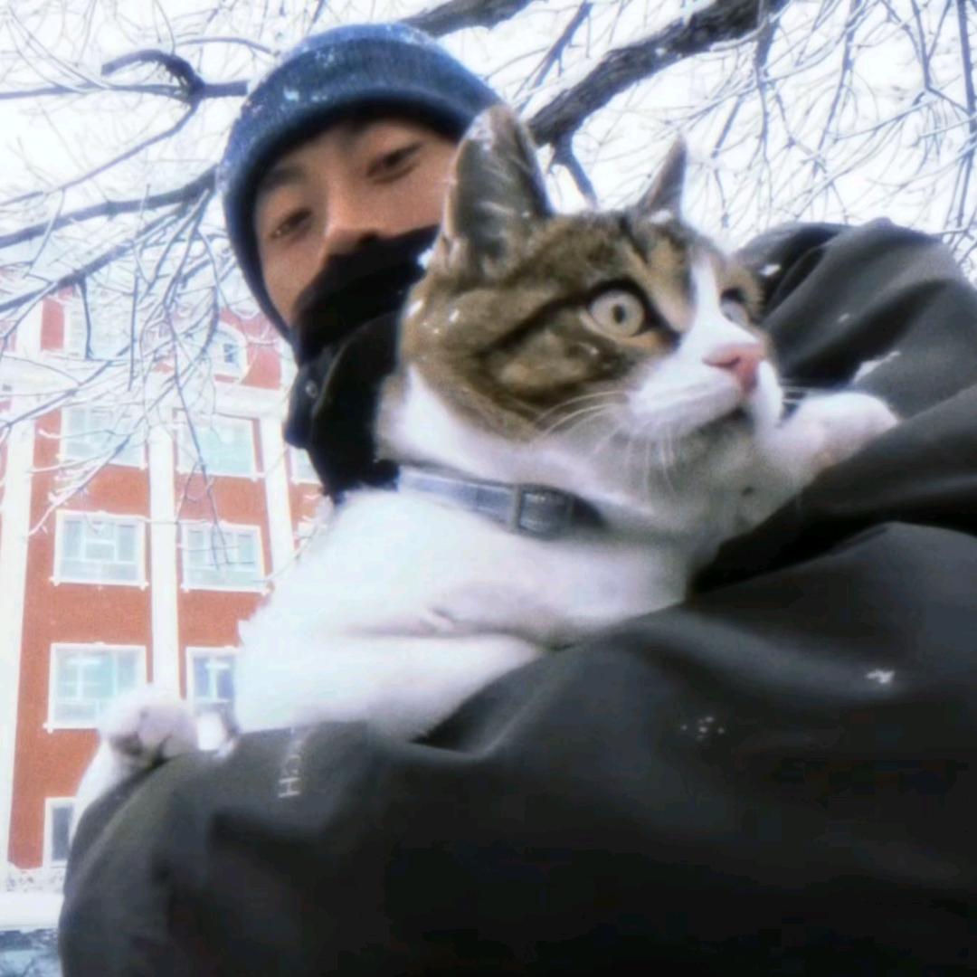 卡莎