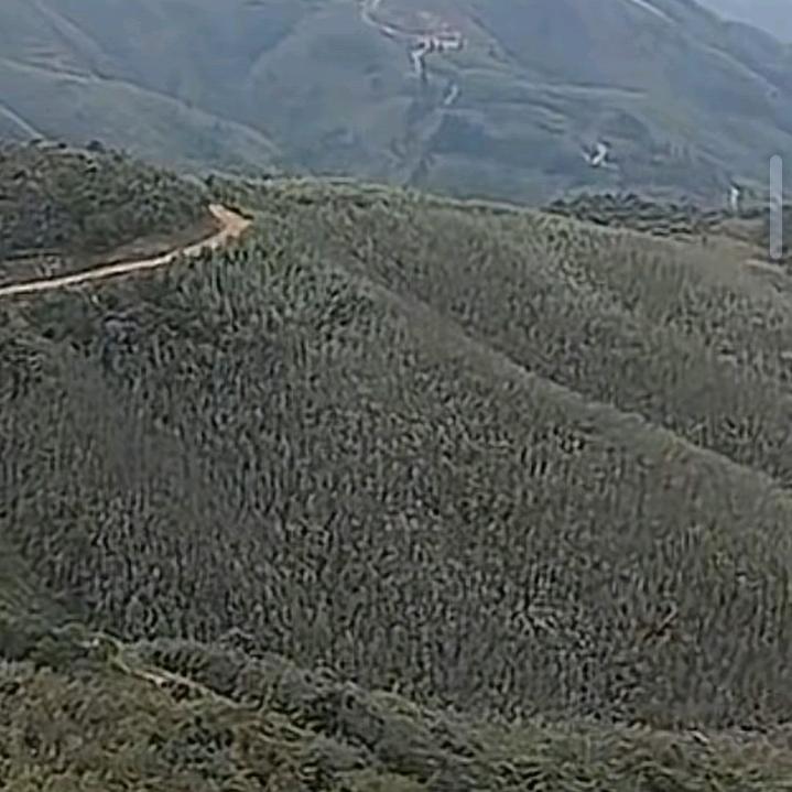 宁愿喝五十三度的酒，也不牵三十七度的手。